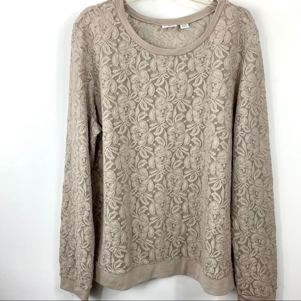 Cato Woman Tan Lace Tunic Top